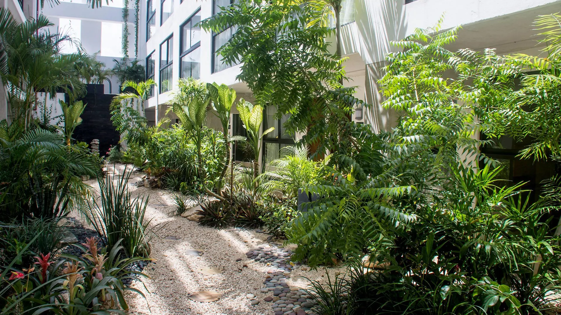 ****  Hotel 52 פלאייה דל כרמן מקסיקו