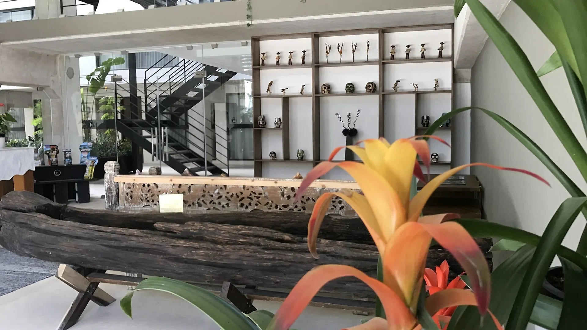 ****  Hotel 52 פלאייה דל כרמן מקסיקו